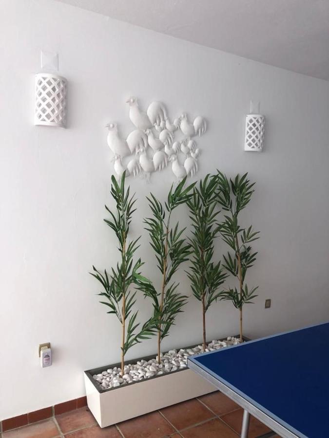 Ofir Beach House Bonanca Esposende Ngoại thất bức ảnh