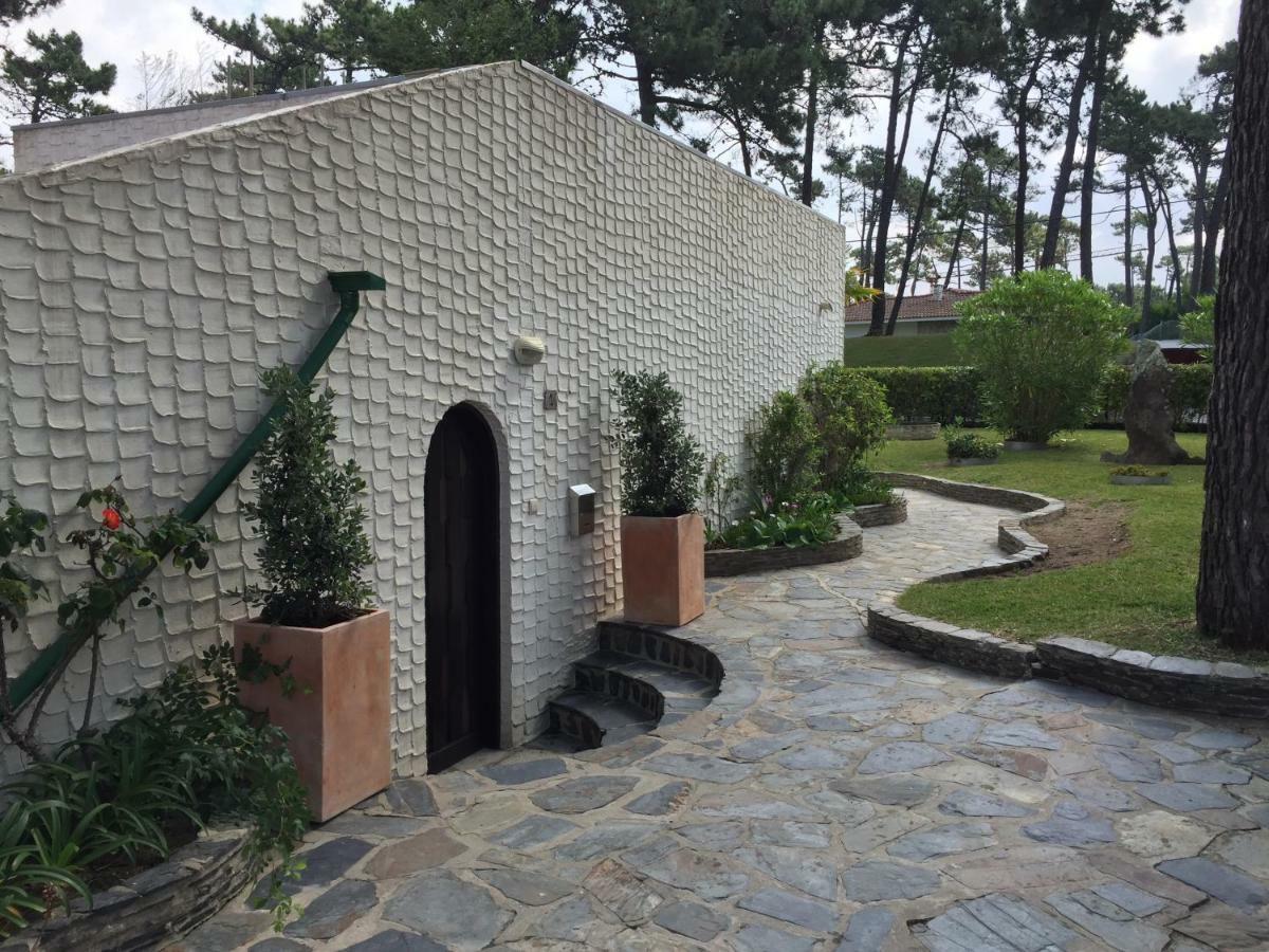 Ofir Beach House Bonanca Esposende Ngoại thất bức ảnh