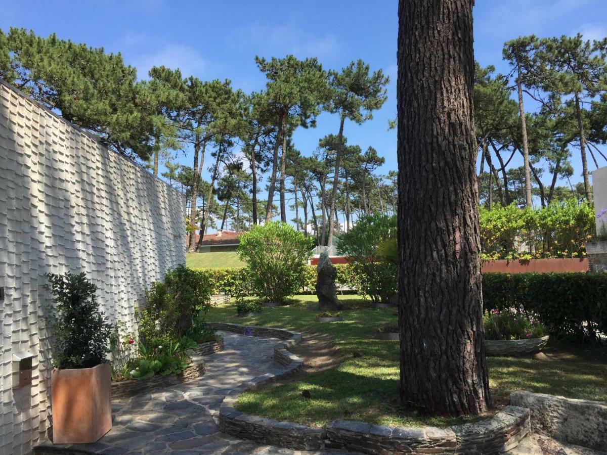 Ofir Beach House Bonanca Esposende Ngoại thất bức ảnh